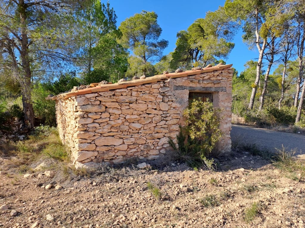 Finca/Landhuis te koop in Asco - € 8.000 (Ref: 8088180)
