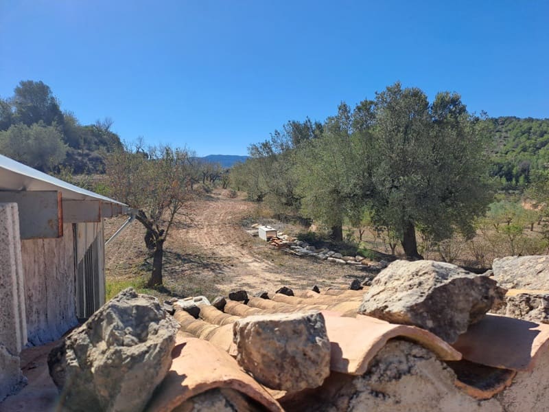 Finca/Landehus til salg i Corbera d'Ebre - € 35.000 (Ref: 8626113)