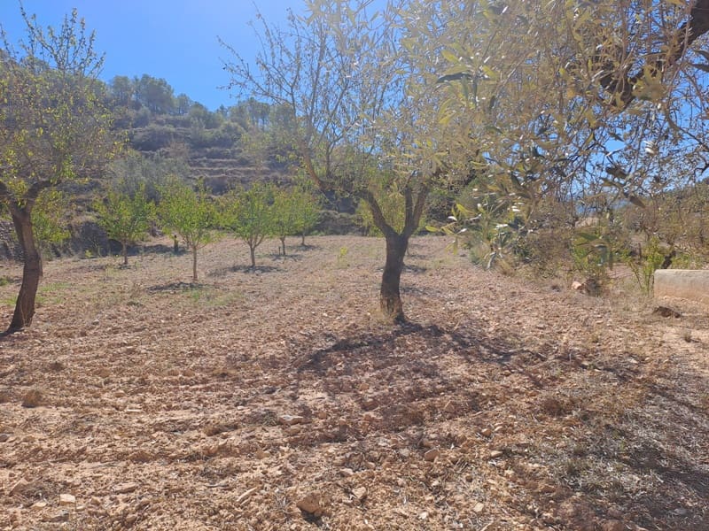 Finca/Landehus til salg i Corbera d'Ebre - € 35.000 (Ref: 8626113)