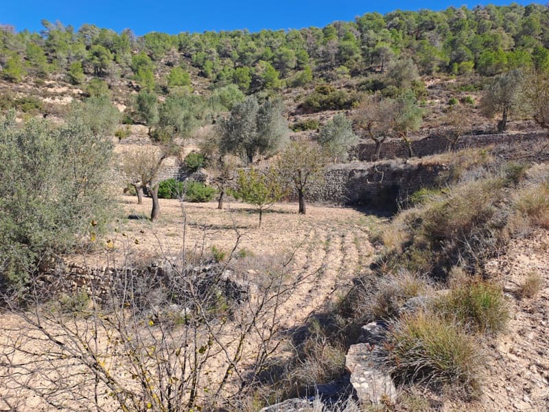 Finca/Landehus til salg i Corbera d'Ebre - € 35.000 (Ref: 8626113)