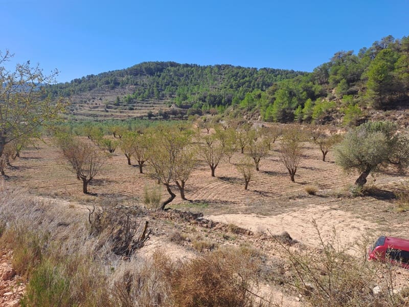 Finca/Landehus til salg i Corbera d'Ebre - € 35.000 (Ref: 8626113)