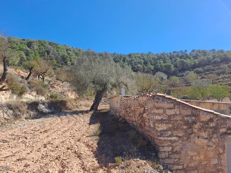 Finca/Landehus til salg i Corbera d'Ebre - € 35.000 (Ref: 8626113)