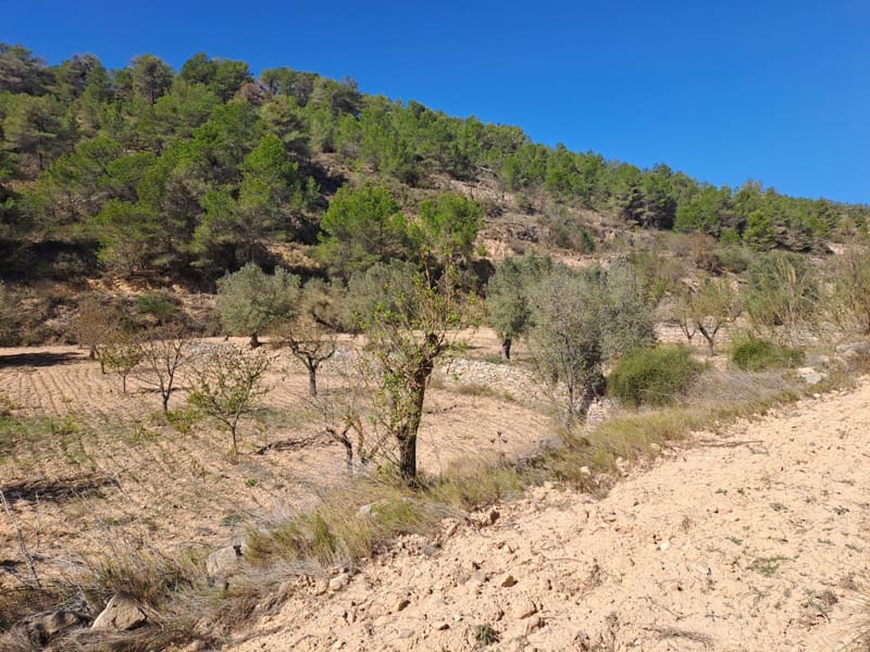 Finca/Landehus til salg i Corbera d'Ebre - € 35.000 (Ref: 8626113)