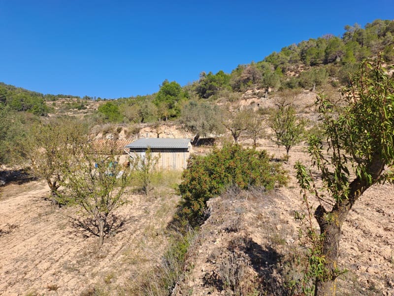 Finca/Landehus til salg i Corbera d'Ebre - € 35.000 (Ref: 8626113)