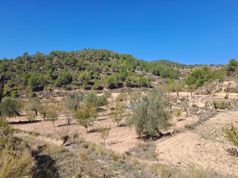 Finca/Landehus til salg i Corbera d'Ebre - € 35.000 (Ref: 8626113)