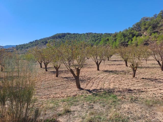 Finca/Landehus til salg i Corbera d'Ebre - € 35.000 (Ref: 8626113)