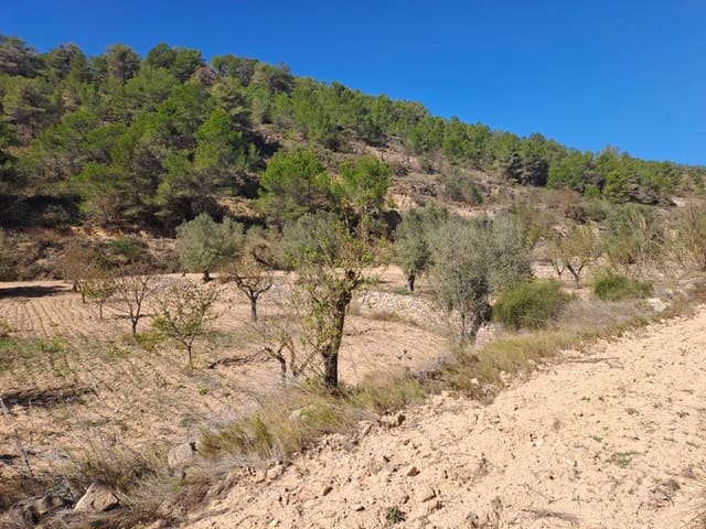 Finca/Landehus til salg i Corbera d'Ebre - € 35.000 (Ref: 8626113)