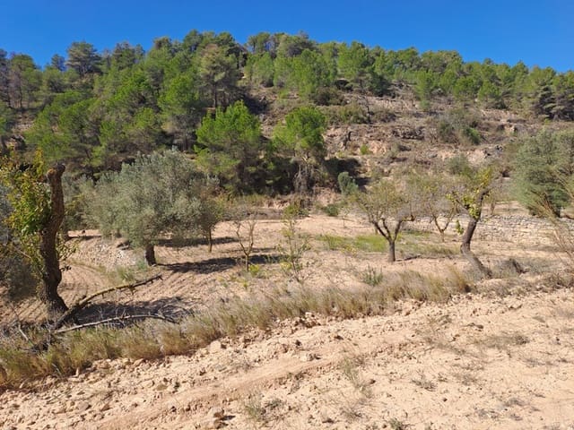 Finca/Landehus til salg i Corbera d'Ebre - € 35.000 (Ref: 8626113)