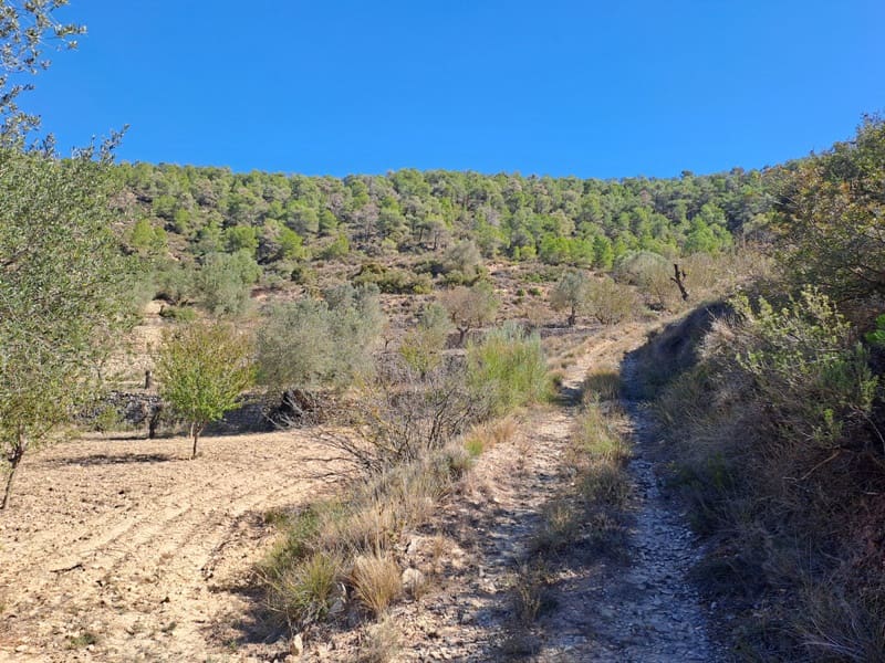 Finca/Landehus til salg i Corbera d'Ebre - € 35.000 (Ref: 8626113)
