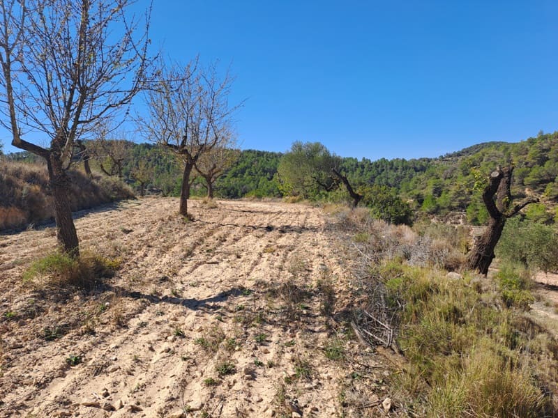 Finca/Landehus til salg i Corbera d'Ebre - € 35.000 (Ref: 8626113)