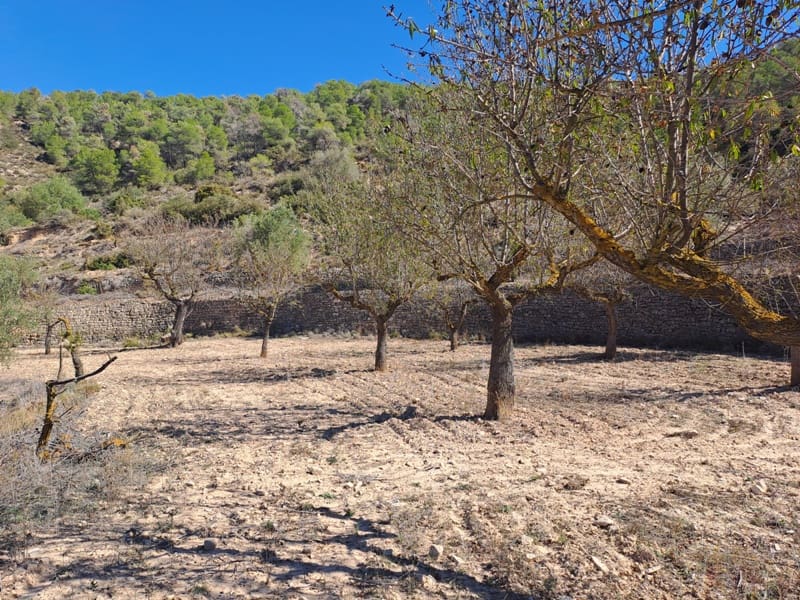 Finca/Landehus til salg i Corbera d'Ebre - € 35.000 (Ref: 8626113)