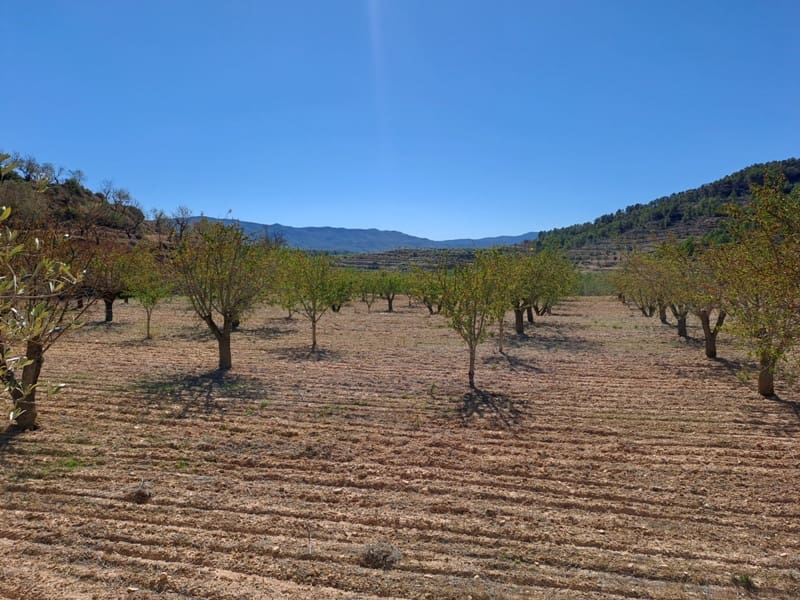Finca/Landehus til salg i Corbera d'Ebre - € 35.000 (Ref: 8626113)