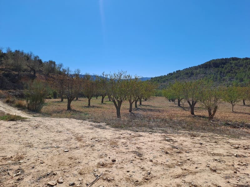 Finca/Landehus til salg i Corbera d'Ebre - € 35.000 (Ref: 8626113)