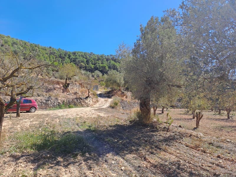 Finca/Landehus til salg i Corbera d'Ebre - € 35.000 (Ref: 8626113)