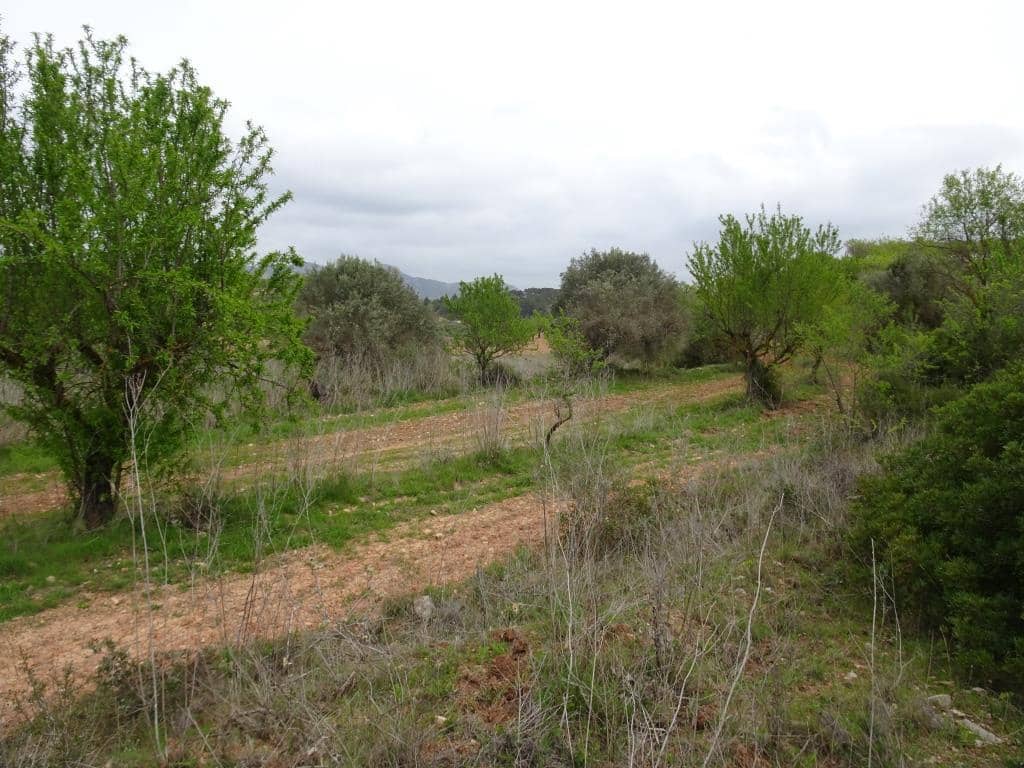 Finca/Landhuis te koop in Corbera d'Ebre - € 12.000 (Ref: 9417804)