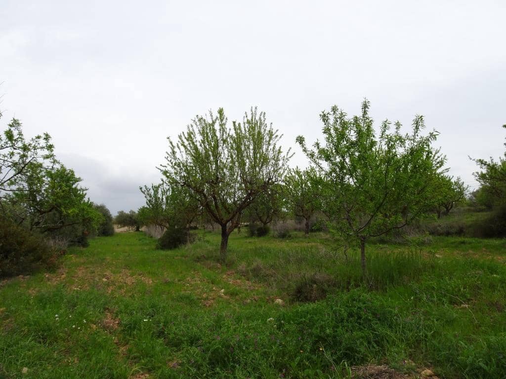 Finca/Landhuis te koop in Corbera d'Ebre - € 12.000 (Ref: 9417804)