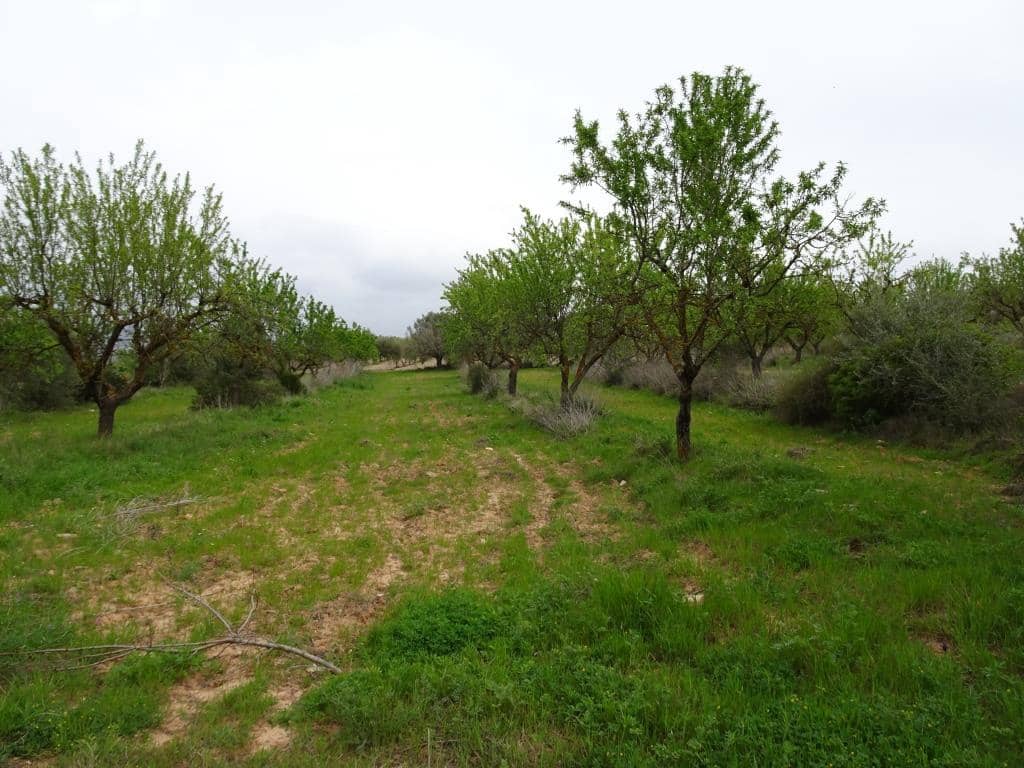 Finca/Landhuis te koop in Corbera d'Ebre - € 12.000 (Ref: 9417804)