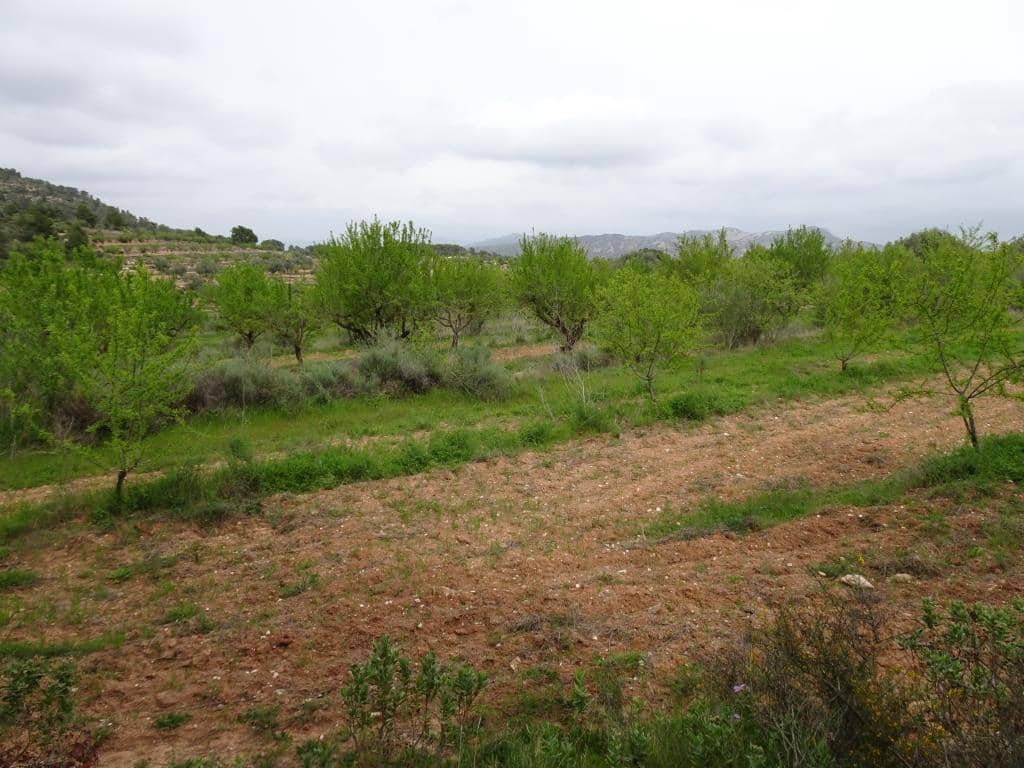 Finca/Landhuis te koop in Corbera d'Ebre - € 12.000 (Ref: 9417804)