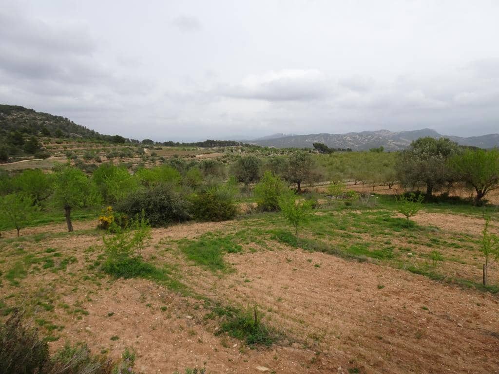 Finca/Landhuis te koop in Corbera d'Ebre - € 12.000 (Ref: 9417804)