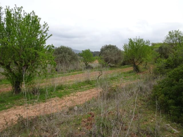Finca/Landehus til salg i Corbera d'Ebre - € 12.000 (Ref: 9417804)