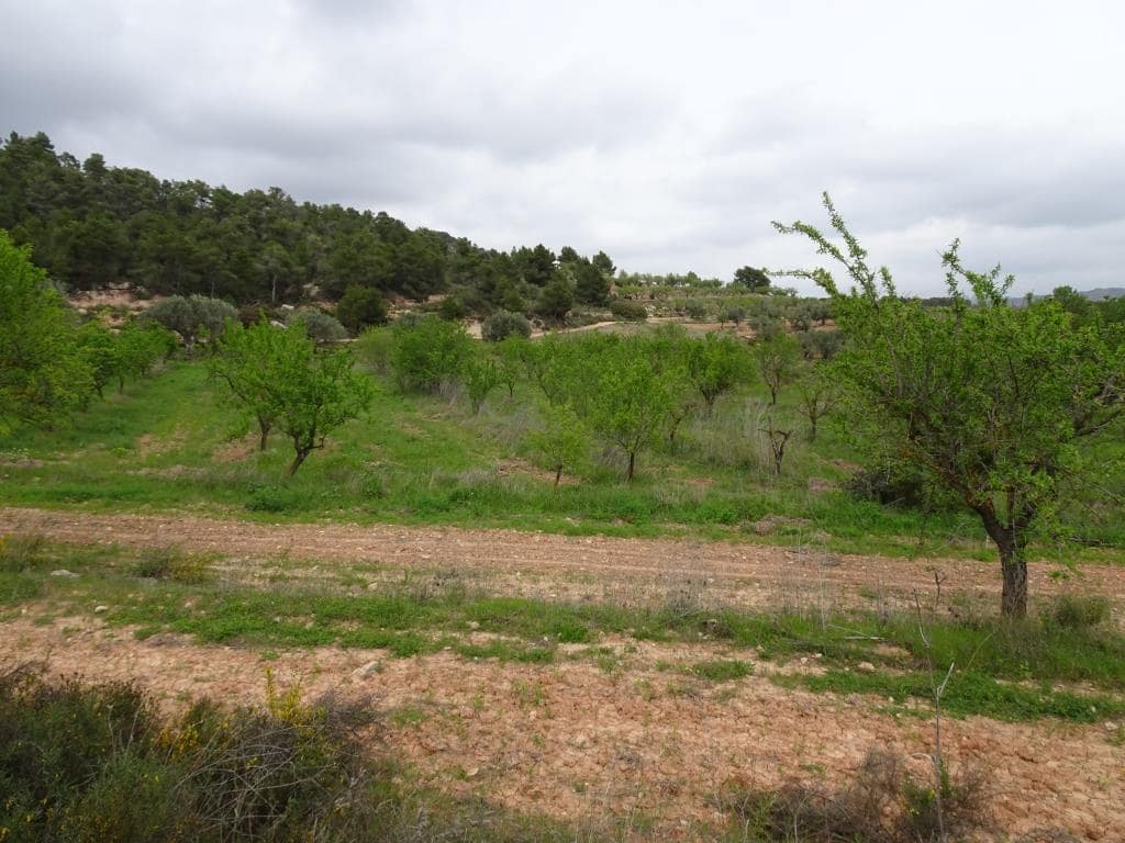 Finca/Landhuis te koop in Corbera d'Ebre - € 12.000 (Ref: 9417804)