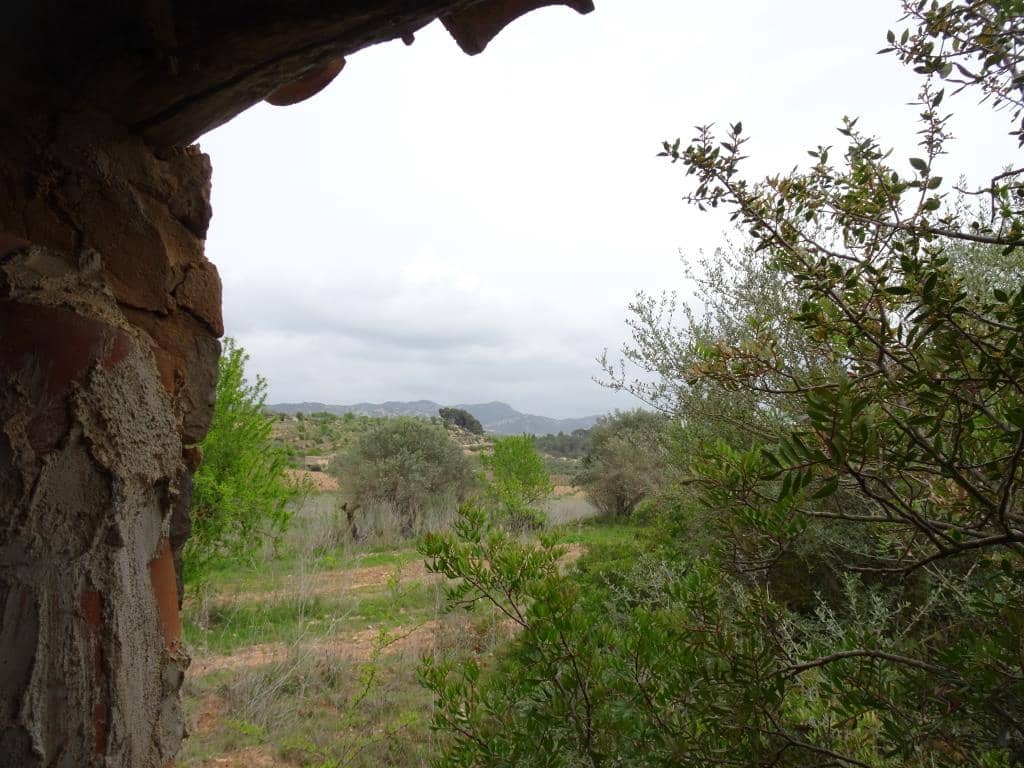 Finca/Landhuis te koop in Corbera d'Ebre - € 12.000 (Ref: 9417804)