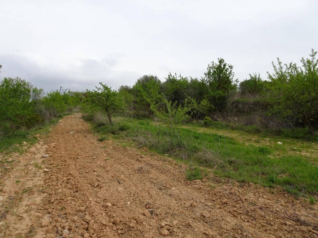 Finca/Landhuis te koop in Corbera d'Ebre - € 12.000 (Ref: 9417804)