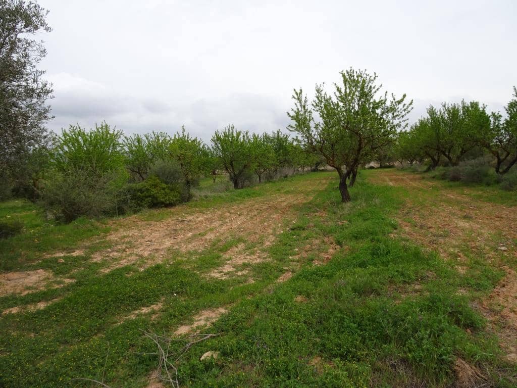 Finca/Landhuis te koop in Corbera d'Ebre - € 12.000 (Ref: 9417804)