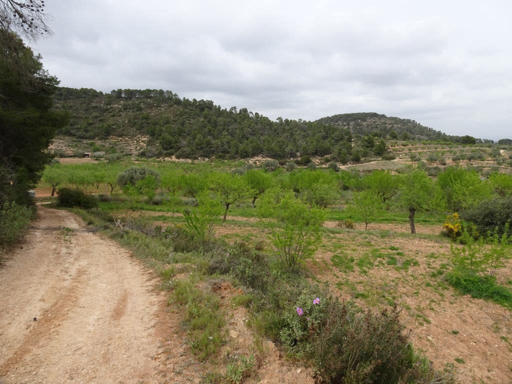 Finca/Landhuis te koop in Corbera d'Ebre - € 12.000 (Ref: 9417804)