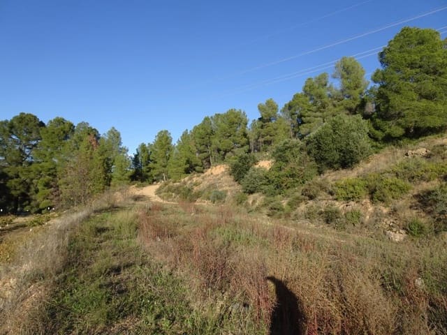 Finca/Casa di Campagna in vendita in Vinebre - 17.000 € (Rif: 9417805)