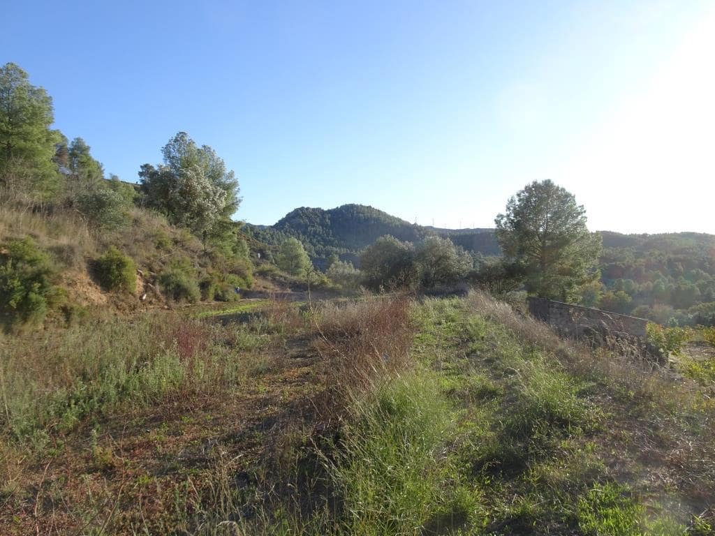 Finca/Landehus til salg i Vinebre - € 17.000 (Ref: 9417805)