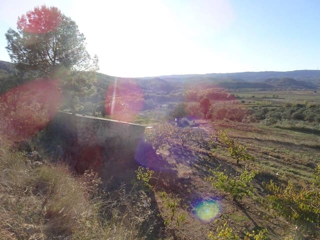 Finca/Casa di Campagna in vendita in Vinebre - 17.000 € (Rif: 9417805)