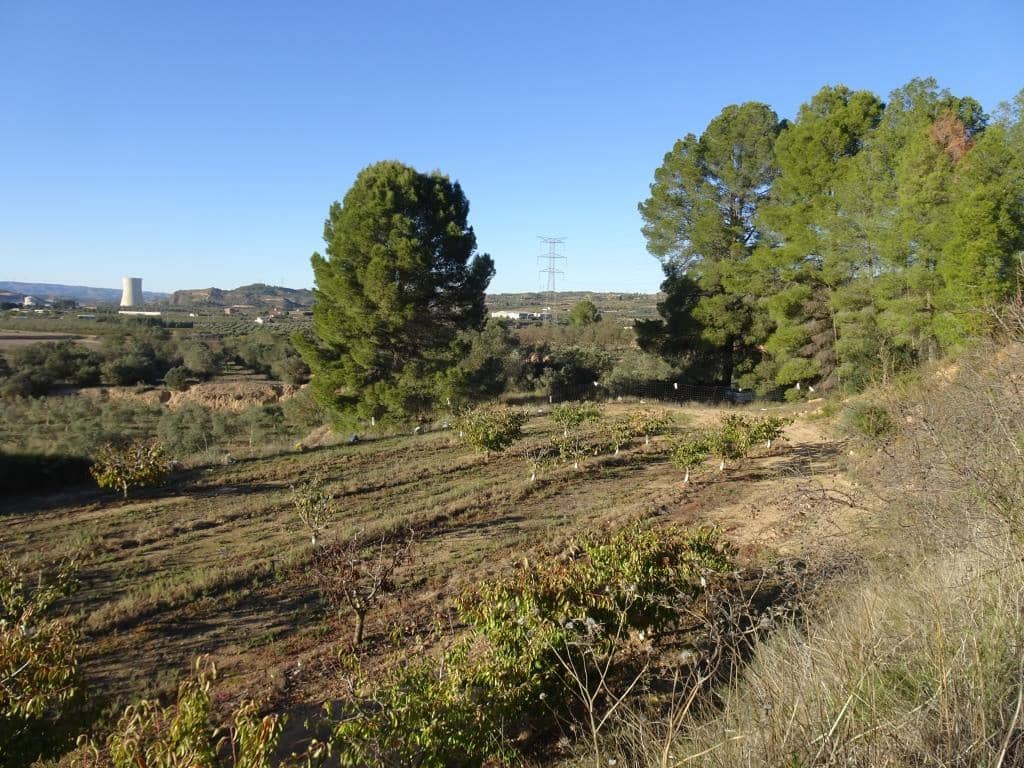Finca/Landehus til salg i Vinebre - € 17.000 (Ref: 9417805)
