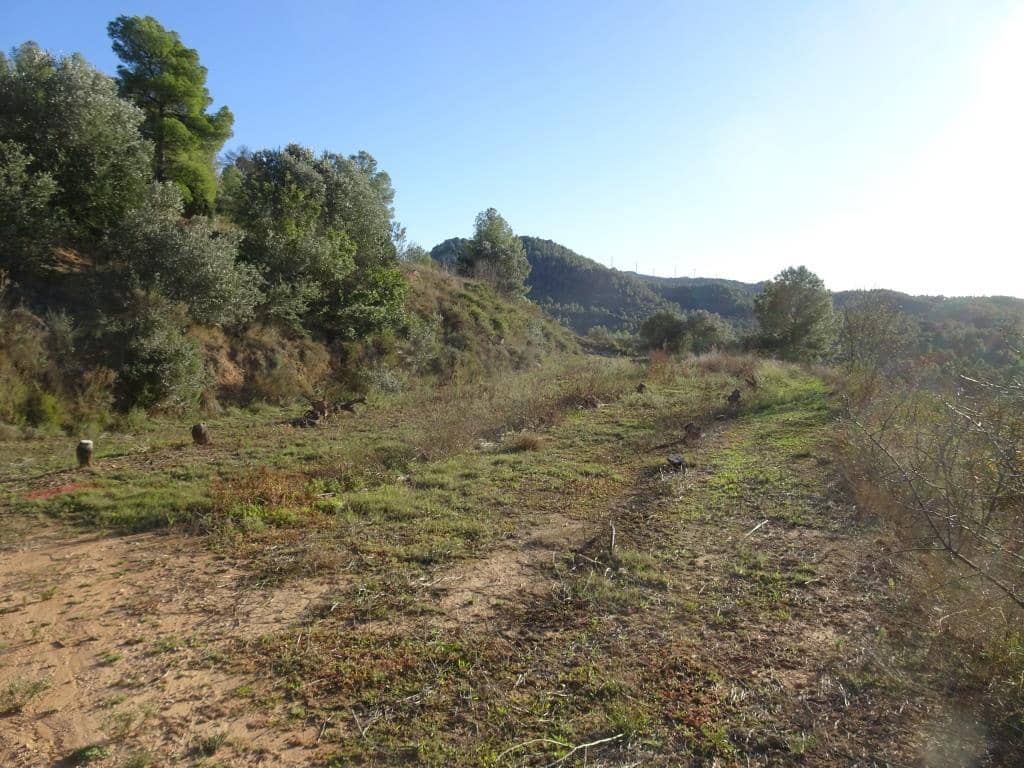 Finca/Landehus til salg i Vinebre - € 17.000 (Ref: 9417805)