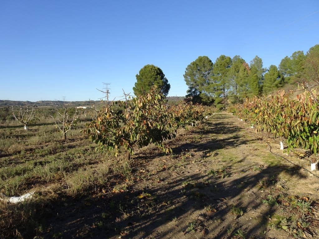 Finca/Landehus til salg i Vinebre - € 17.000 (Ref: 9417805)