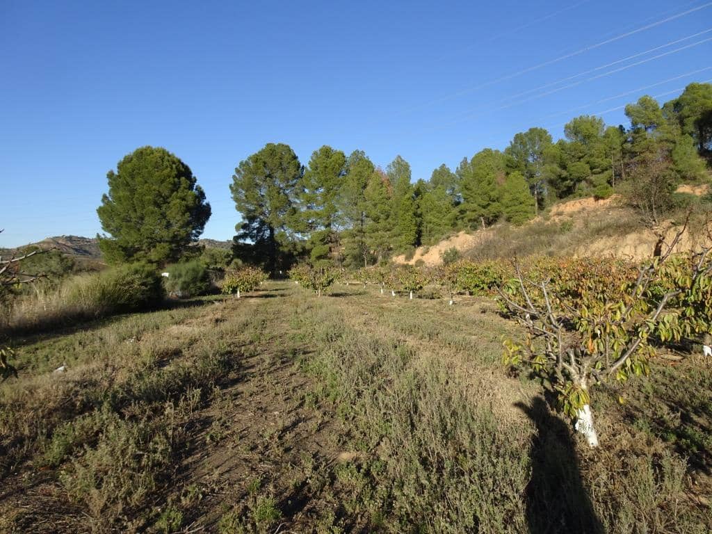 Finca/Landehus til salg i Vinebre - € 17.000 (Ref: 9417805)