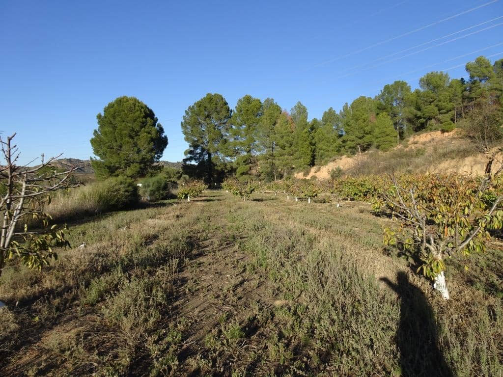 Finca/Landehus til salg i Vinebre - € 17.000 (Ref: 9417805)