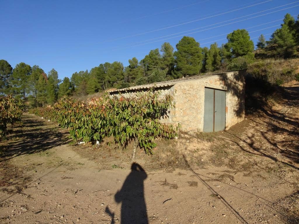 Finca/Landehus til salg i Vinebre - € 17.000 (Ref: 9417805)