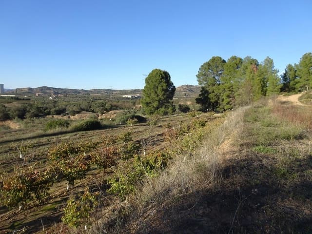 Finca/Casa di Campagna in vendita in Vinebre - 17.000 € (Rif: 9417805)