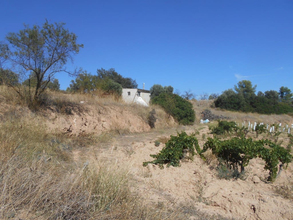 Finca/Landhuis te koop in Asco - € 54.000 (Ref: 9417806)