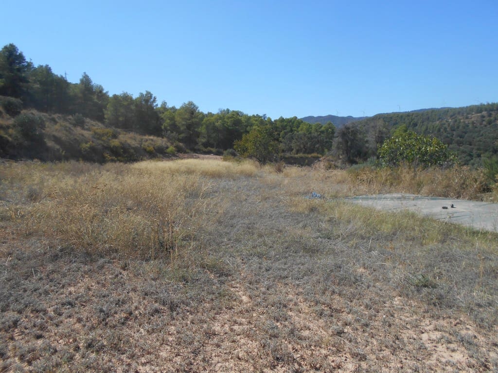 Finca/Landhuis te koop in Asco - € 54.000 (Ref: 9417806)