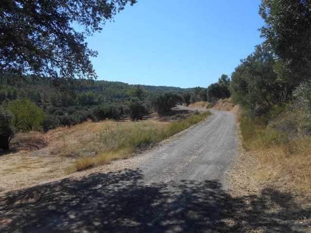 Finca/Country House for sale in Ascó - € 54,000 (Ref: 9417806)