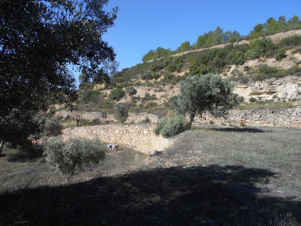 Finca/Landhuis te koop in Corbera d'Ebre - € 18.000 (Ref: 9417807)