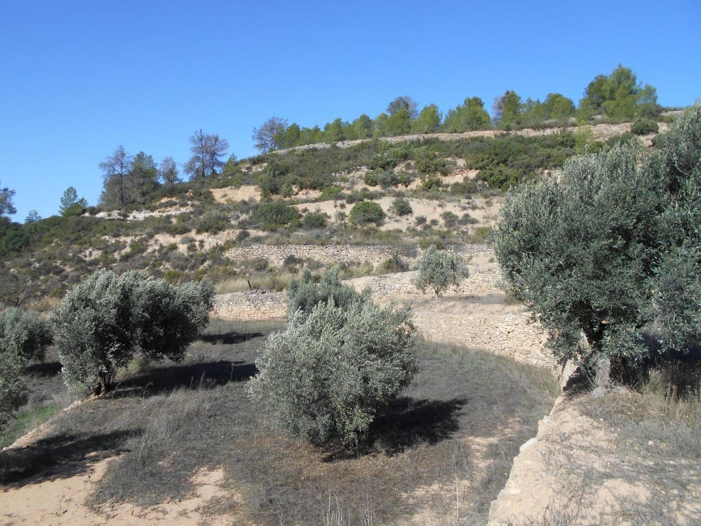 Finca/Landhuis te koop in Corbera d'Ebre - € 18.000 (Ref: 9417807)