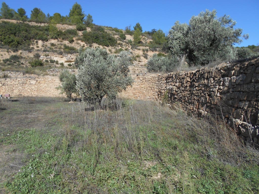 Finca/Landhuis te koop in Corbera d'Ebre - € 18.000 (Ref: 9417807)