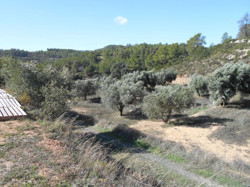 Finca/Landhuis te koop in Corbera d'Ebre - € 18.000 (Ref: 9417807)