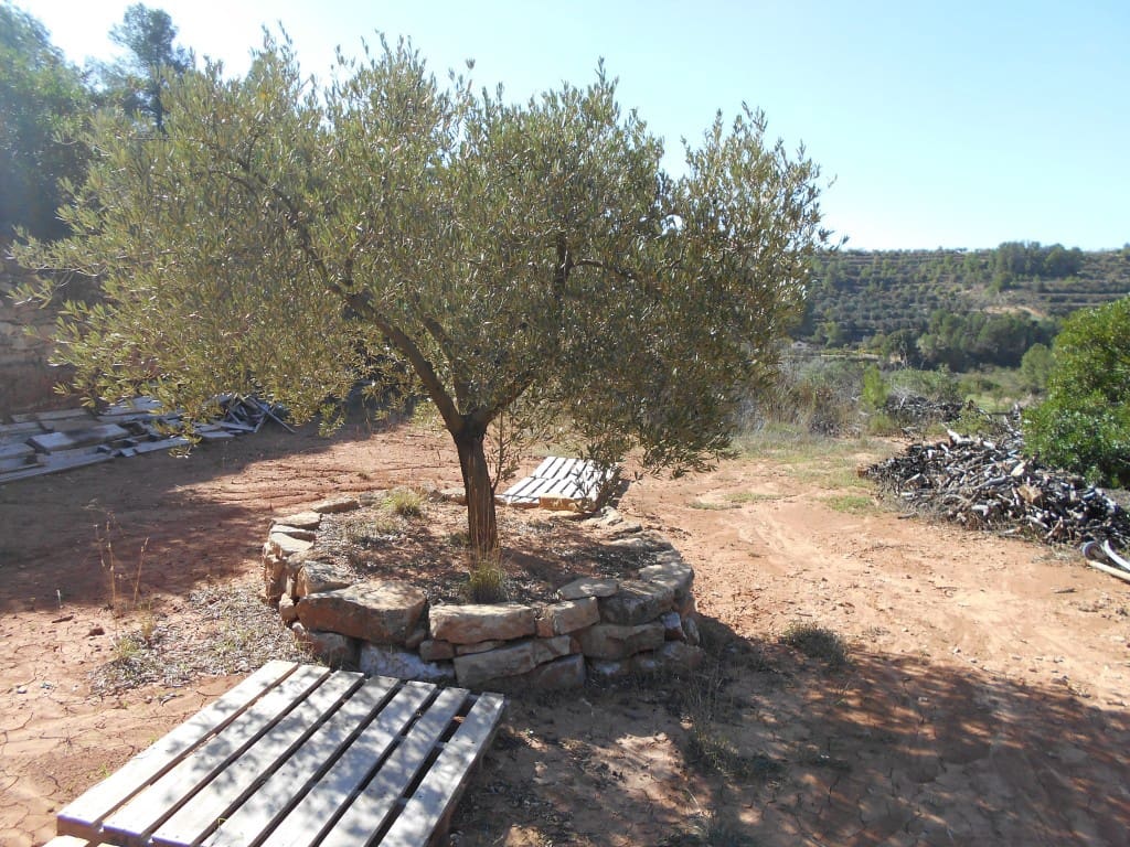 Finca/Landhuis te koop in Corbera d'Ebre - € 18.000 (Ref: 9417807)