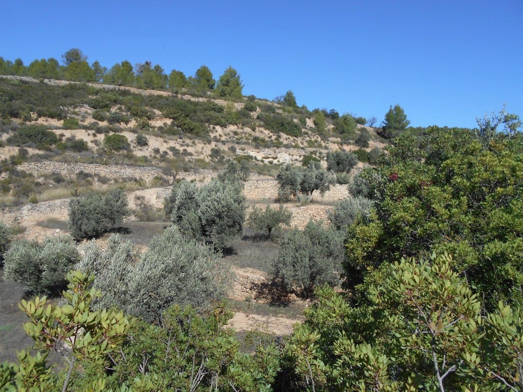 Finca/Landhuis te koop in Corbera d'Ebre - € 18.000 (Ref: 9417807)