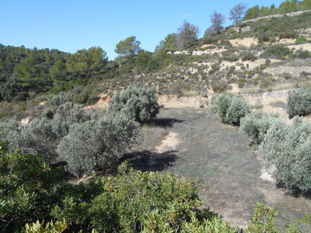 Finca/Landhuis te koop in Corbera d'Ebre - € 18.000 (Ref: 9417807)