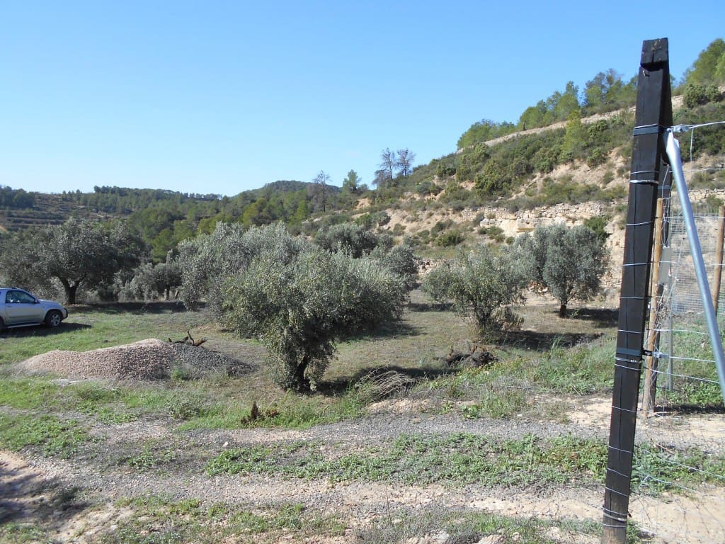 Finca/Landhuis te koop in Corbera d'Ebre - € 18.000 (Ref: 9417807)